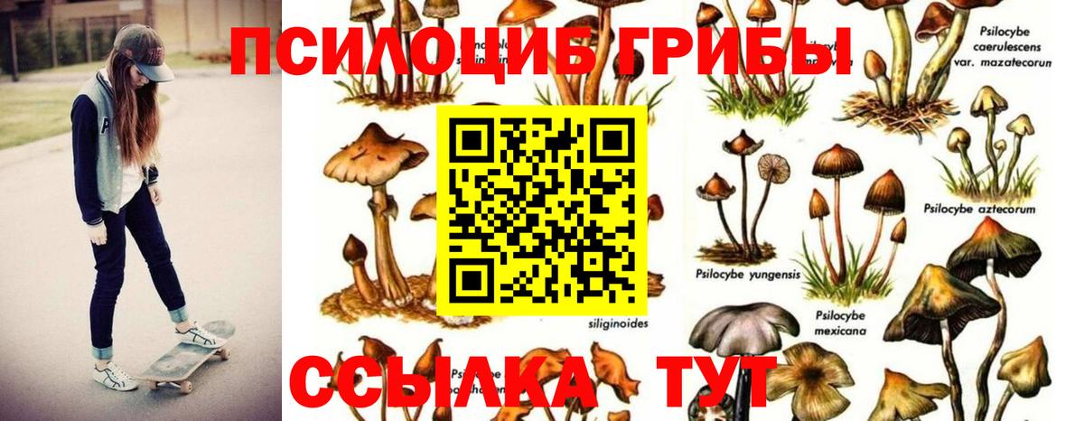 Галлюциногенные грибы ЛСД  наркотики  Вход с VPN  Подольск  Галлюциногенные грибы мухоморы 