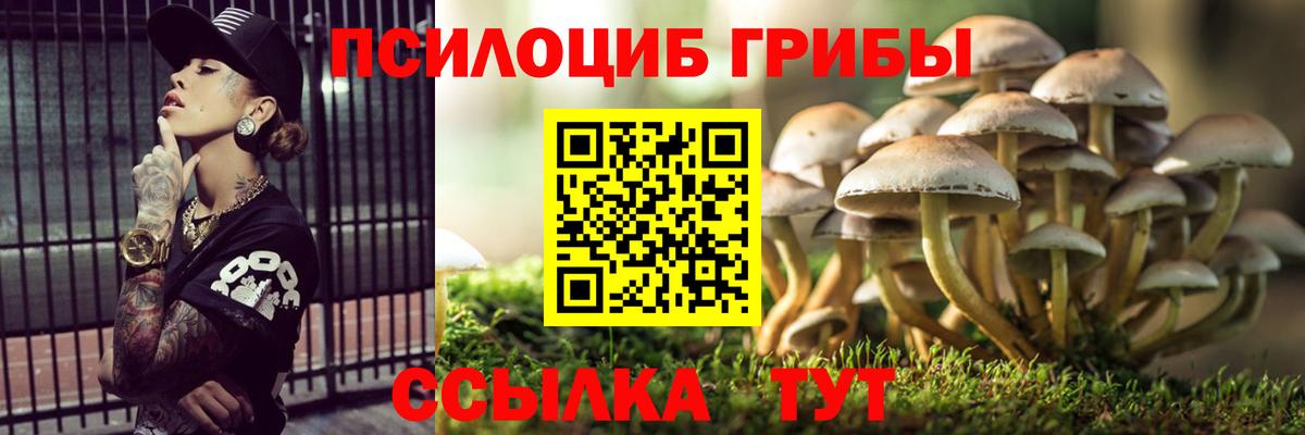 Галлюциногенные грибы прущие грибы Подольск